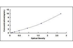 ELISA image for Proopiomelanocortin (POMC) ELISA Kit (ABIN432041)