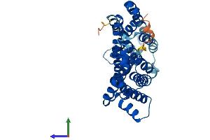 AlphaFold protein structure predicition of Mouse Recombinant Tm6sf2 Protein, UniprotID Q8R1J1 (TM6SF2 Protein (AA 1-378) (His tag))