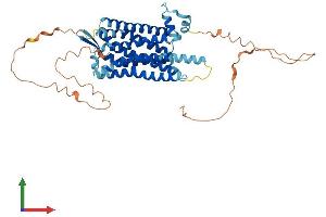 Protein Structure (PS) image for Tachykinin Receptor 3 (TACR3) (AA 1-465) protein (His tag) (ABIN7549738)
