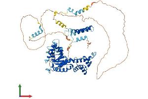 Protein Structure (PS) image for Fidgetin-Like 1 (FIGNL1) (AA 1-683) protein (His tag) (ABIN7558809)