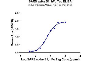 Immobilized Human ACE2 at 2 μg/mL (100 μL/Well). (SARS-CoV-2 Spike S1 Protein (Fc-Avi Tag))