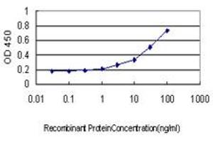 Detection limit for recombinant GST tagged NDUFS4 is approximately 0. (NDUFS4 antibody  (AA 66-175))