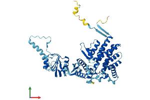 Protein Structure (PS) image for T-Complex 1 (TCP1) (AA 1-556) protein (His tag) (ABIN7544302)