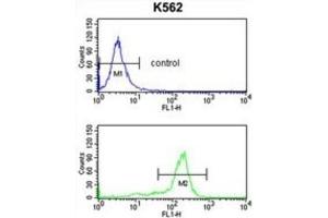 Flow Cytometry (FACS) image for anti-WD Repeat, Sterile alpha Motif and U-Box Domain Containing 1 (WDSUB1) antibody (ABIN3003923)