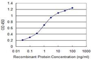 Detection limit for recombinant GST tagged RABGAP1 is 0. (RABGAP1 antibody  (AA 1-110))