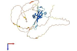 AlphaFold protein structure predicition of Mouse Recombinant Prr30 Protein, UniprotID Q9D9B7 (PRR30 Protein (AA 1-401) (His tag))