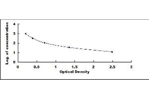 Galanin ELISA Kit