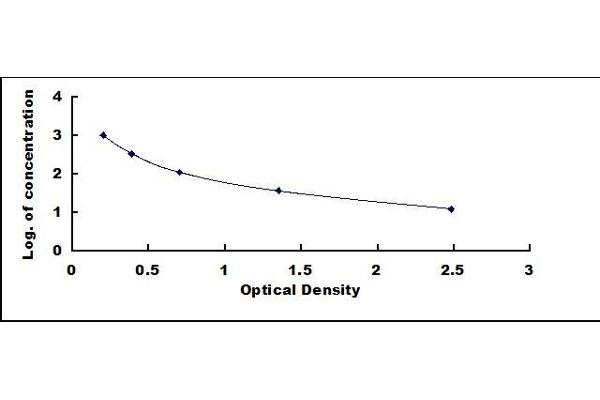 Galanin ELISA Kit