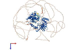 DNA Cross-Link Repair 1A (DCLRE1A) (AA 1-1026) protein (His tag)
