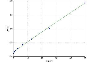 Neutral alpha-Glucosidase ELISA Kit