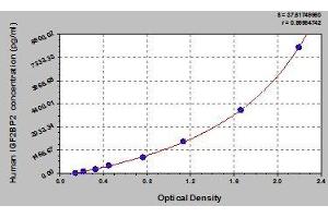 Typical standard curve (IGF2BP2 ELISA Kit)