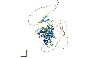 AlphaFold protein structure predicition of Mouse Recombinant Nom1 Protein, UniprotID Q3UFM5 (NOM1 Protein (AA 1-854) (His tag))