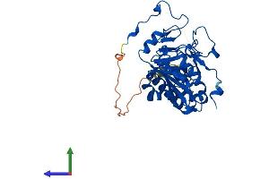 AlphaFold protein structure predicition of Human Recombinant ABO Protein, UniprotID P16442 (ABO Protein (AA 1-354) (His tag))