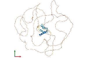 AlphaFold protein structure predicition of Mouse Recombinant Tchhl1 Protein, UniprotID Q9D3P1 (TCHHL1 Protein (AA 1-638) (His tag))