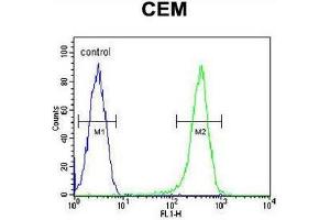 COX10 Antibody (C-term) flow cytometric analysis of CEM cells (right histogram) compared to a negative control cell (left histogram).