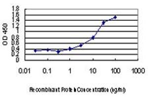 Detection limit for recombinant GST tagged MKNK1 is approximately 1ng/ml as a capture antibody.