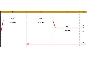 Polymerase Chain Reaction (PCR) image for Vascular Endothelial Growth Factor (VEGF) IQ-ELISA Kit (ABIN5680039) (VEGF IQ-ELISA Kit)