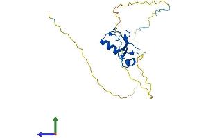 AlphaFold protein structure predicition of Mouse Recombinant Rnf4 Protein, UniprotID Q9QZS2 (RNF4 Protein (AA 1-194) (His tag))