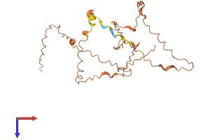 AlphaFold protein structure predicition of Human Recombinant KIRREL3-AS3 Protein, UniprotID Q8N7Y1 (KIRREL3-AS3 Protein (AA 1-241) (His tag))