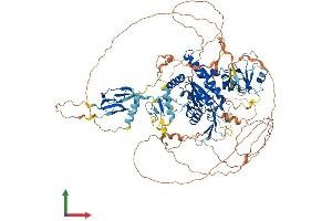 Protein Structure (PS) image for CTD (Carboxy-terminal Domain, RNA Polymerase II, Polypeptide A) Phosphatase, Subunit 1 (CTDP1) (AA 1-961) protein (His tag) (ABIN7553562)