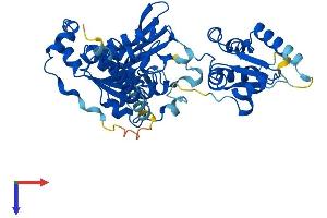 AlphaFold protein structure predicition of Mouse Recombinant Mocs3 Protein, UniprotID A2BDX3 (MOCS3 Protein (AA 1-460) (His tag))
