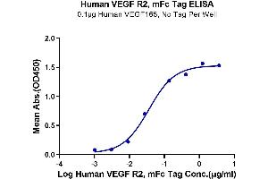 Immobilized Human VEGF165 1 μg/mL (100 μL/Well) on the plate. (VEGFR2/CD309 Protein (AA 20-764) (mFc Tag))