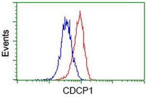 Image no. 2 for anti-CUB Domain Containing Protein 1 (CDCP1) antibody (ABIN1497411) (CDCP1 antibody)