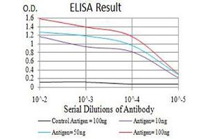 Black line: Control Antigen (100 ng),Purple line: Antigen (10 ng), Blue line: Antigen (50 ng), Red line:Antigen (100 ng) (RUNX3 antibody  (AA 294-429))