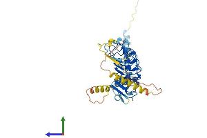 AlphaFold protein structure predicition of Human Recombinant LRRC2 Protein, UniprotID Q9BYS8