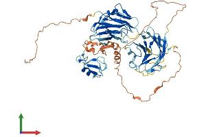 AlphaFold protein structure predicition of Human Recombinant NEURL1B Protein, UniprotID A8MQ27