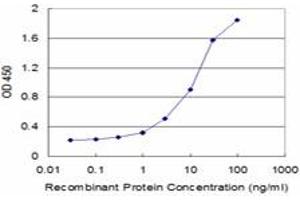 Detection limit for recombinant GST tagged IL11 is approximately 0. (IL-11 antibody  (AA 25-74))