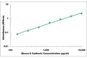 Representative Standard Curve