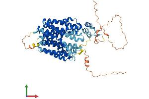 AlphaFold protein structure predicition of Human Recombinant SVOP Protein, UniprotID Q8N4V2 (SVOP Protein (AA 1-548) (His tag))