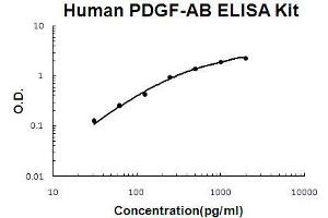 Human PDGF-AB PicoKine ELISA Kit standard curve (PDGF-AB Heterodimer ELISA Kit)