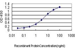 Detection limit for recombinant GST tagged NRAS is approximately 0. (GTPase NRas antibody  (AA 90-189))