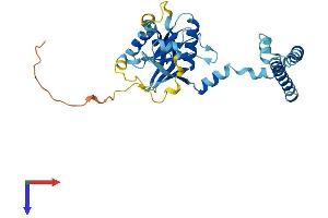 PSMD14 Protein (AA 1-310) (His tag)