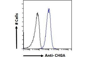 ABIN185645 Flow cytometric analysis of paraformaldehyde fixed A549 cells (blue line), permeabilized with 0. (Chromogranin A antibody  (Internal Region))