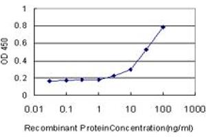 Detection limit for recombinant GST tagged EGFL7 is approximately 3ng/ml as a capture antibody. (EGFL7 antibody  (AA 24-273))