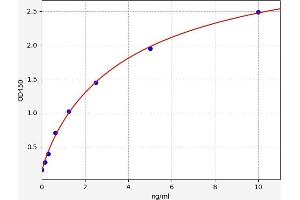 CA5B ELISA Kit