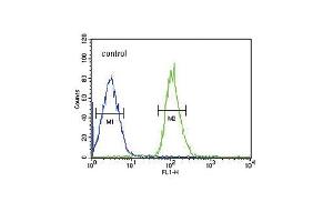 FGFR1 Antibody i FC analysis of MCF-7 cells (bottom histogram) compared to a negative control cell (top histogram). (FGFR1 antibody)