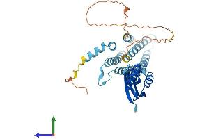 AlphaFold protein structure predicition of Human Recombinant SLC30A7 Protein, UniprotID Q8NEW0