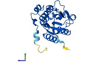 AlphaFold protein structure predicition of Human Recombinant ISOC2 Protein, UniprotID Q96AB3