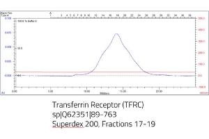 Size-exclusion chromatography-High Pressure Liquid Chromatography (SEC-HPLC) image for Transferrin Receptor (p90, CD71) (TFRC) (AA 89-763) protein (His tag) (ABIN3135544) (Transferrin Receptor Protein (AA 89-763) (His tag))