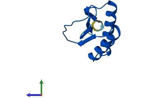 Protein Structure (PS) image for Dynein, Axonemal, Light Chain 4 (DNAL4) (AA 1-105) protein (His tag) (ABIN7547096)