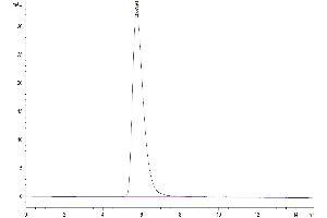 The purity of Cynomolgus ACE2 is greater than 95 % as determined by SEC-HPLC. (ACE2 Protein (His-Avi Tag))
