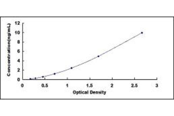 S100A16 ELISA Kit