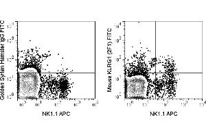 C57Bl/6 splenocytes were stained with APC Anti-Mouse NK1. (KLRG1 antibody  (FITC))