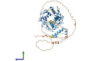 AlphaFold protein structure predicition of Human Recombinant ZNF776 Protein, UniprotID Q68DI1