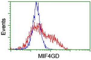 Image no. 1 for anti-MIF4G Domain Containing (MIF4GD) antibody (ABIN1499471)