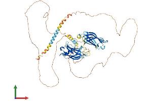 AlphaFold protein structure predicition of Human Recombinant SYT16 Protein, UniprotID Q17RD7 (SYT16 Protein (AA 1-645) (His tag))